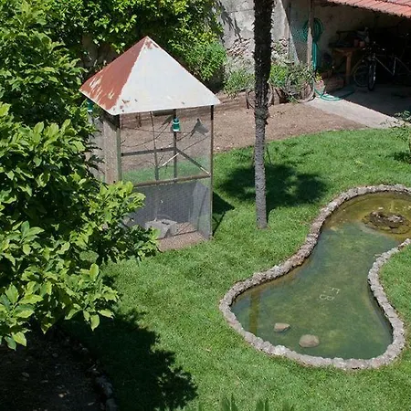 Bed and Breakfast Borgo Largo 51 Πίζα