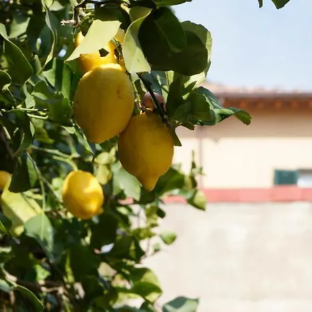 Borgo Largo 51