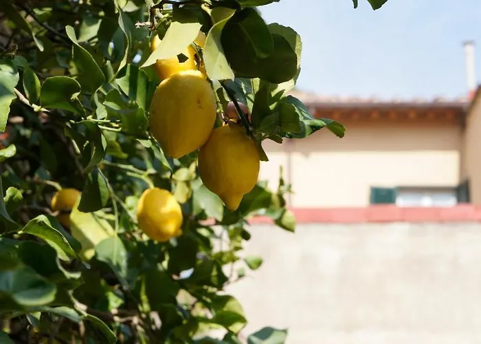 Borgo Largo 51