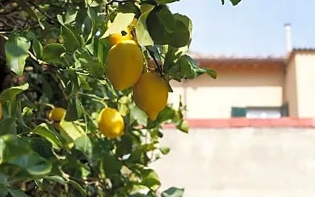 Bed & Breakfast Borgo Largo 51 Pisa